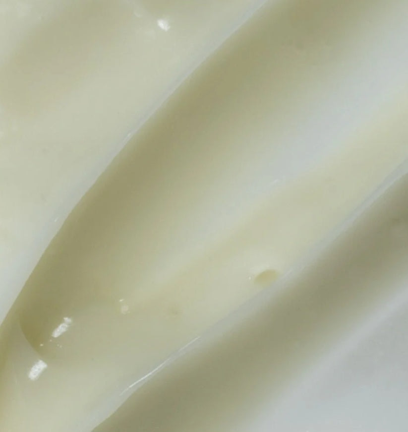 Circadia Light Day Sunscreen SPF 37