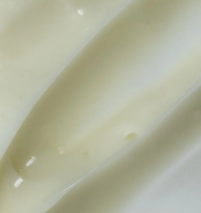 Circadia Light Day Sunscreen SPF 37